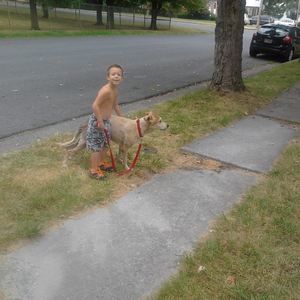 Meet your Posher, Hunter a